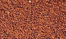 Millets