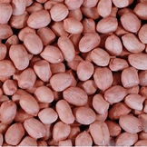 Nuts